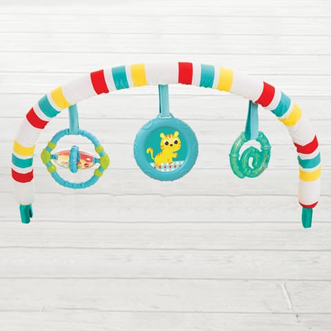 Soothing Vibration Bouncer