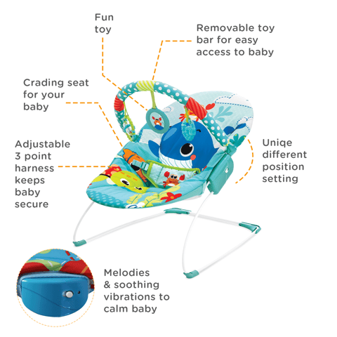 Soothing Vibration Bouncer
