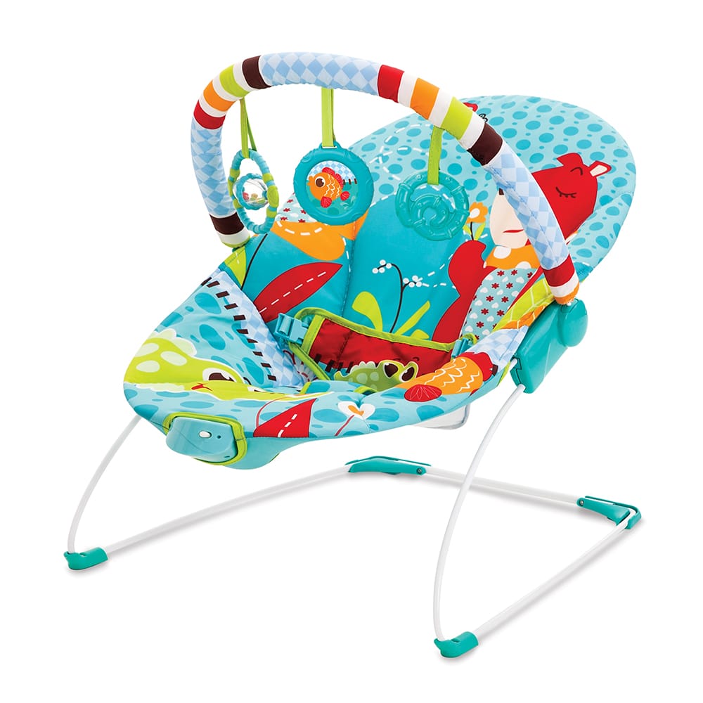 Soothing Vibration Bouncer