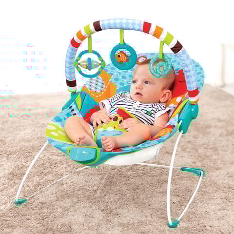 Soothing Vibration Bouncer