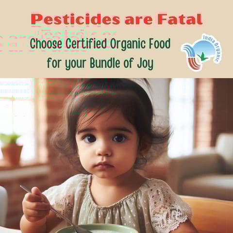 TummyFriendly Foods Certified Organic Jaggery Powder for Baby, Kids, Adults - 2 Packs, 200g Each