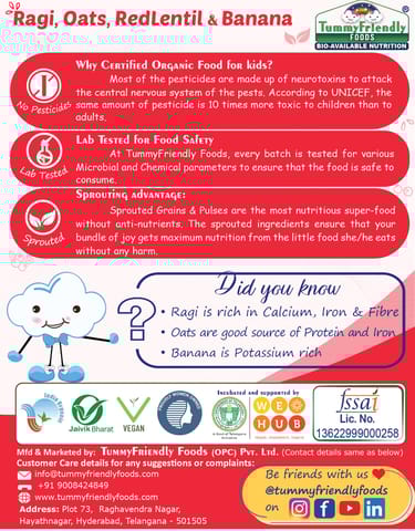 Tummy Friendly Foods CertifiedOrganic Baby Food For Toddlers 1+ Year, Dry Fruits Powder for Baby Kids Cereal (500 g, Pack of 9, 12+ Months)