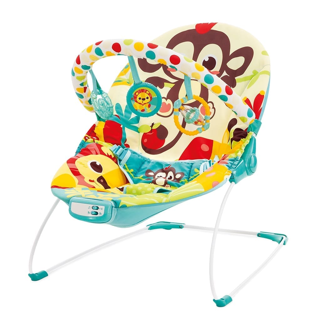 Music Vibrations Bouncer