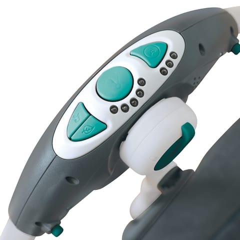 Deluxe Portable Swing