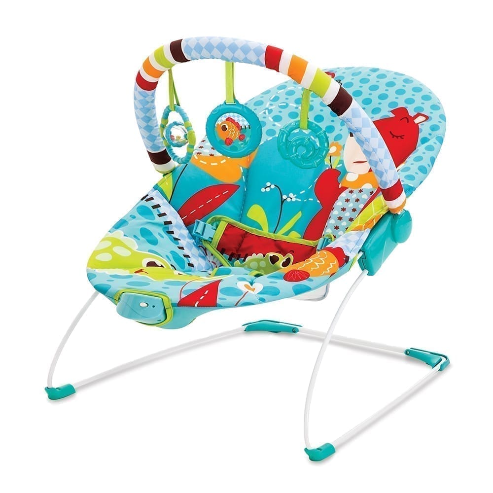 Soothing Vibration Bouncer