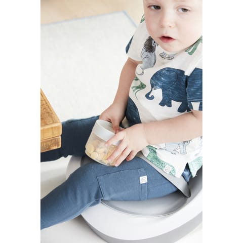 Skip Hop Explore & More Grow Along 4-in-1 Activity Walker