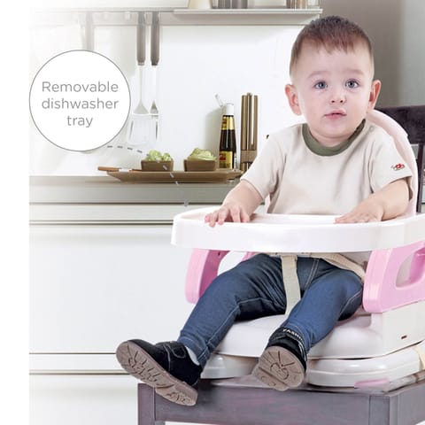 Fold Up Adjustable Chair