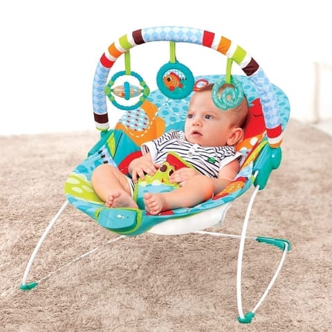 Soothing Vibration Bouncer