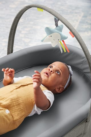 Skip Hop Sweet Retreat 2-Stage Baby Lounger
