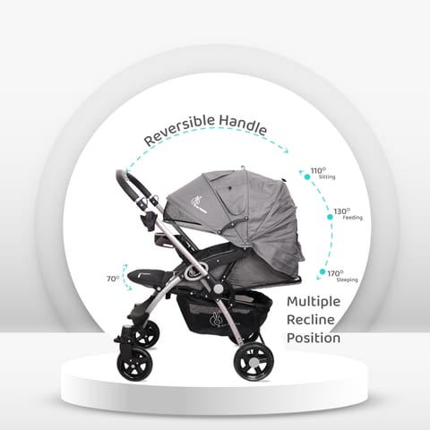 R for Rabbit Chocolate Ride Grey Safari Stroller