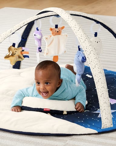 Skip Hop Celestial Dreams Activity Gym, Multi
