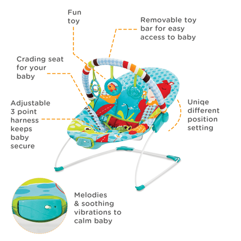 Soothing Vibration Bouncer