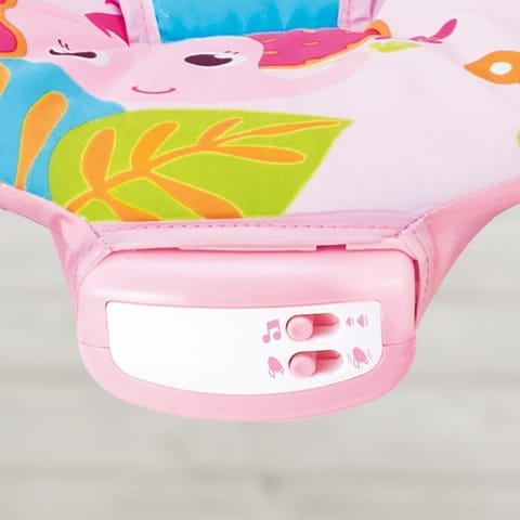 Music Vibrations Bouncer