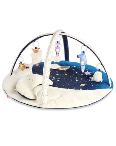 Skip Hop Celestial Dreams Activity Gym, Multi