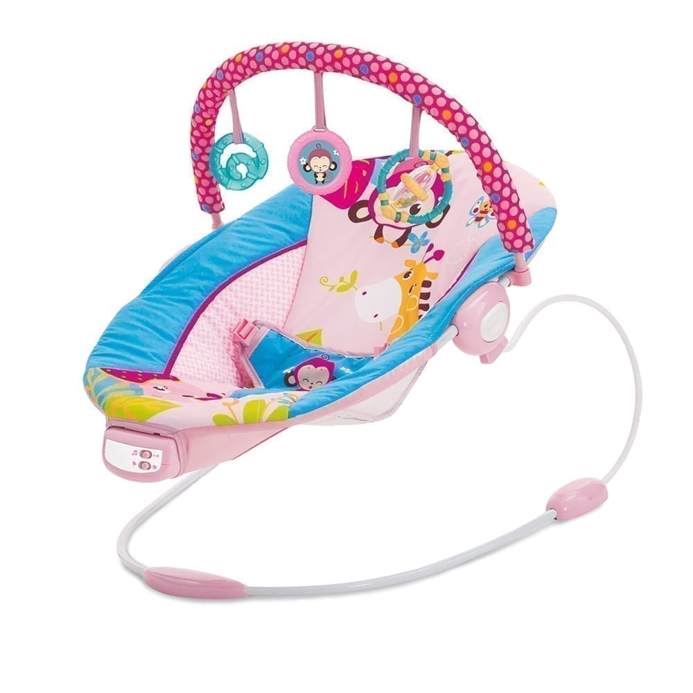 Music Vibrations Bouncer